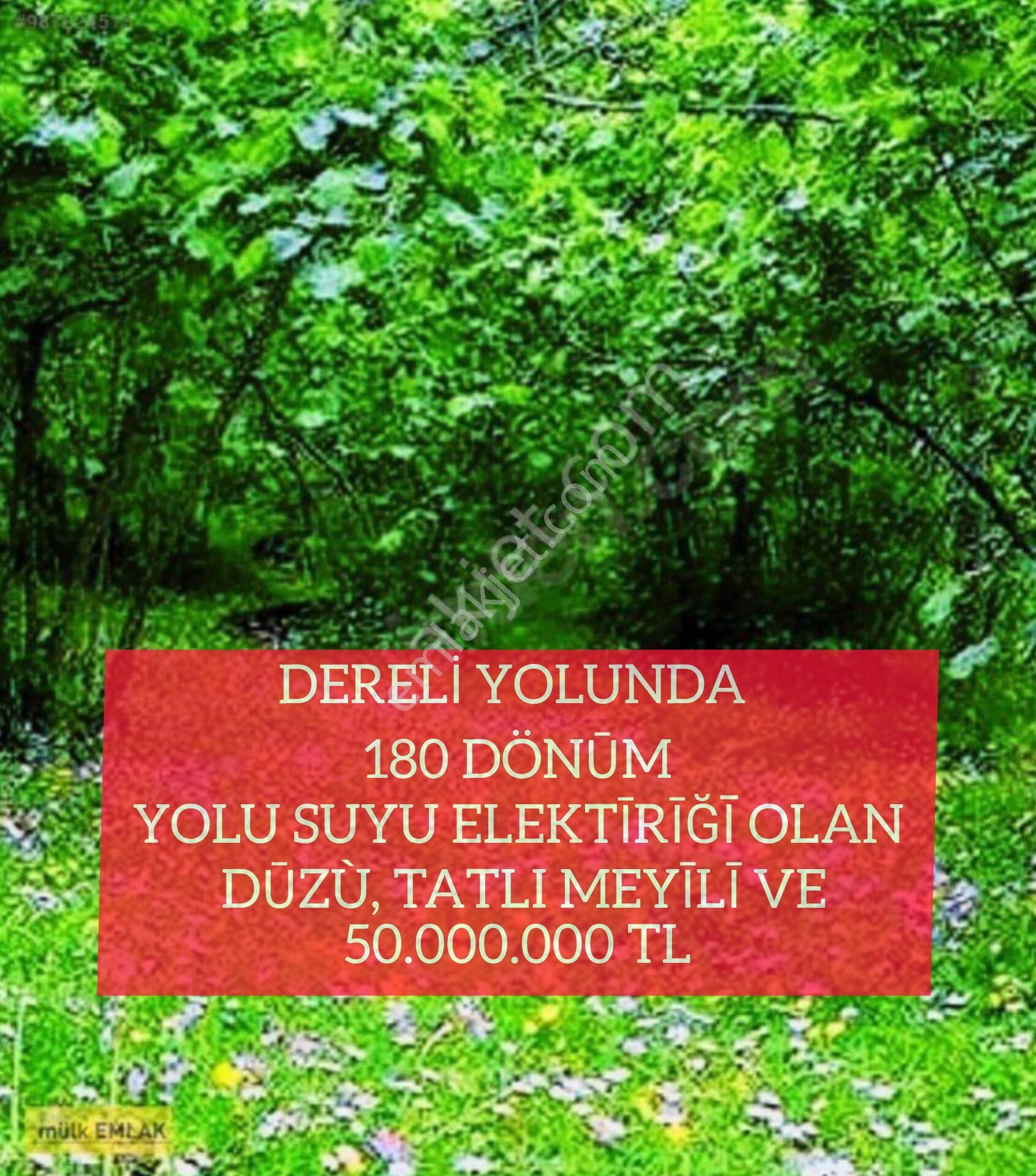 Giresun Merkez Duroğlu Bld. (Çağlayan) Satılık Bağ & Bahçe (44 ) Dereli Yolunda 180 Dönūm Yolu Suyu Elektīrīğī Olan Dūzù, Tatlı Meyīlī Ve