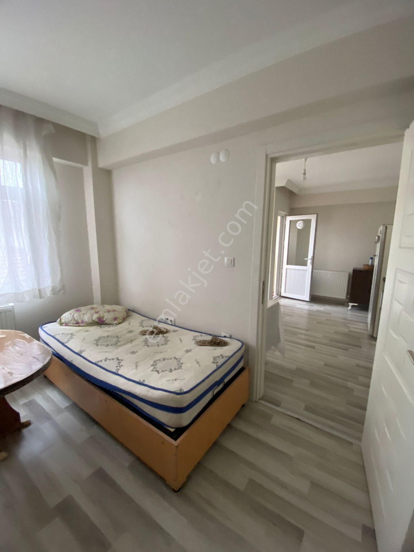 Ayyıldız Gayrimenkul Düzce Düzce Merkez Orhangazi Mahallesi 11 Oda Kiralık Daire 5500 Tl 14249693 1806