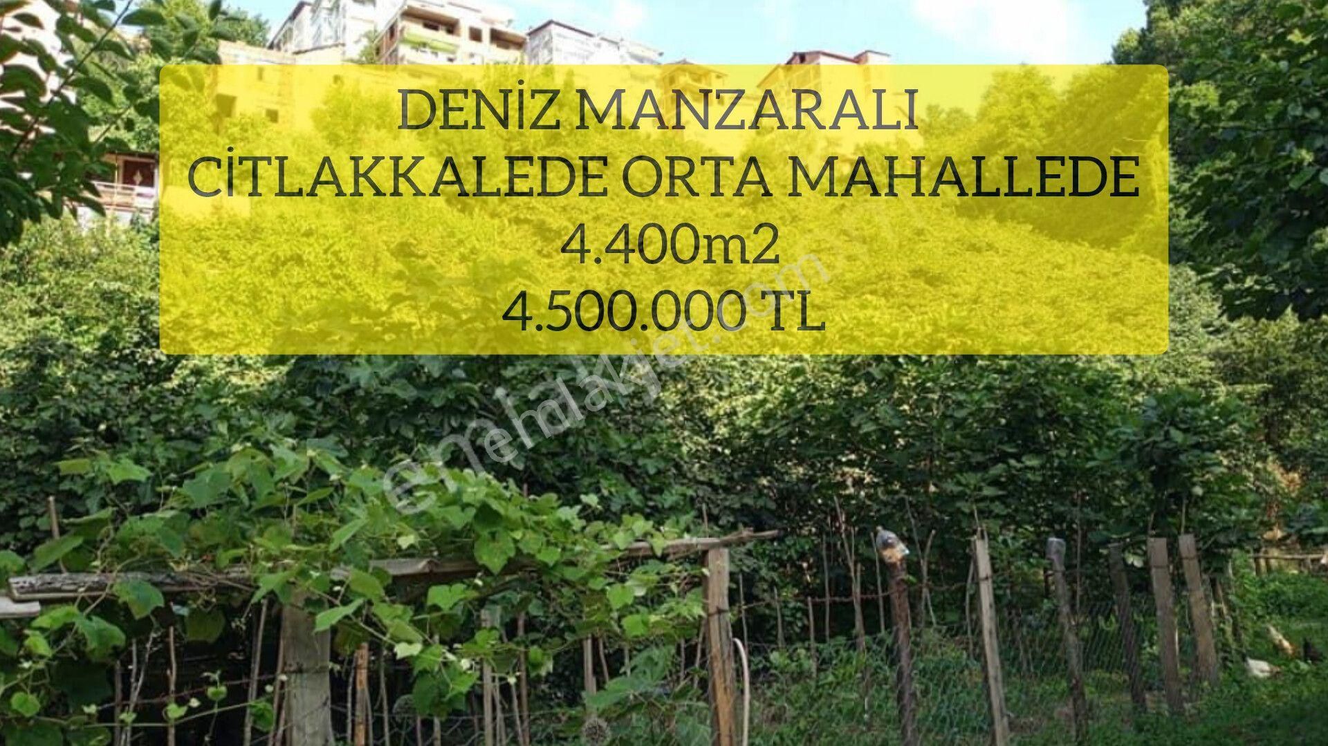 Giresun Merkez Çıtlakkale Satılık Bağ & Bahçe ( 23 )deniz Manzaralı Citlakkalede Orta Mahallede 4.400m2