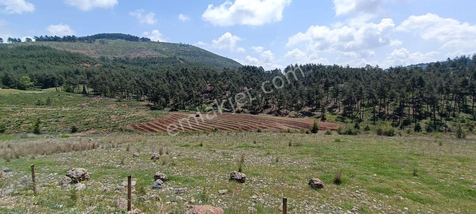 Kaburgediği'nde Yatırımlık Ve Kullanıma Uygun, Bahçe Ve Villa Yapmaya Uygun Arazi