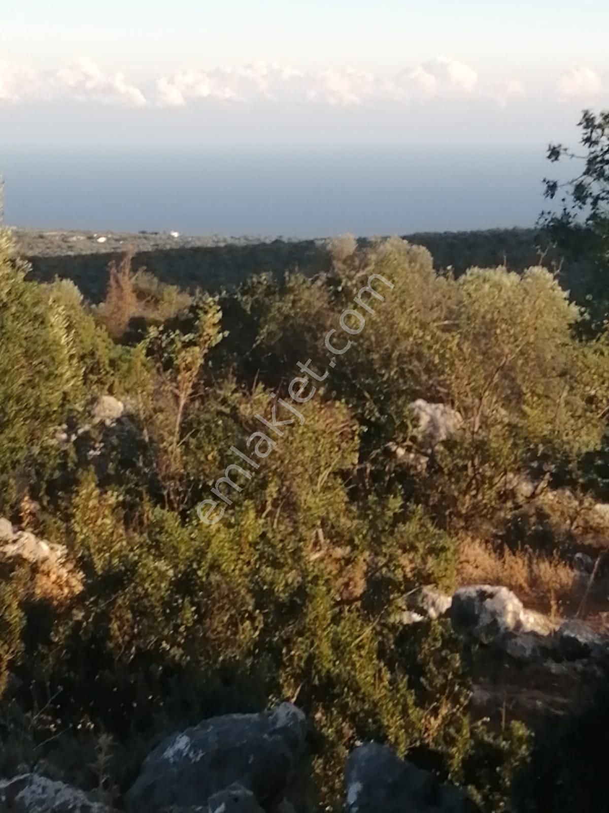 Erdemli Esenpınar Satılık Tarla Esenpınar Poşluda Satılık Deniz Manzaralı Yatırımlık Arazi