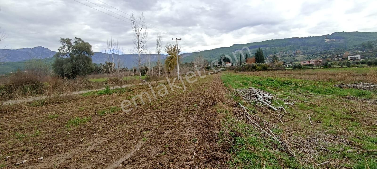 Seydikemer Sahilceylan Satılık Konut İmarlı Muğla Seydikemer Sahil Ceylan Mahallesinde 1800 M2 İmarlı Arsa