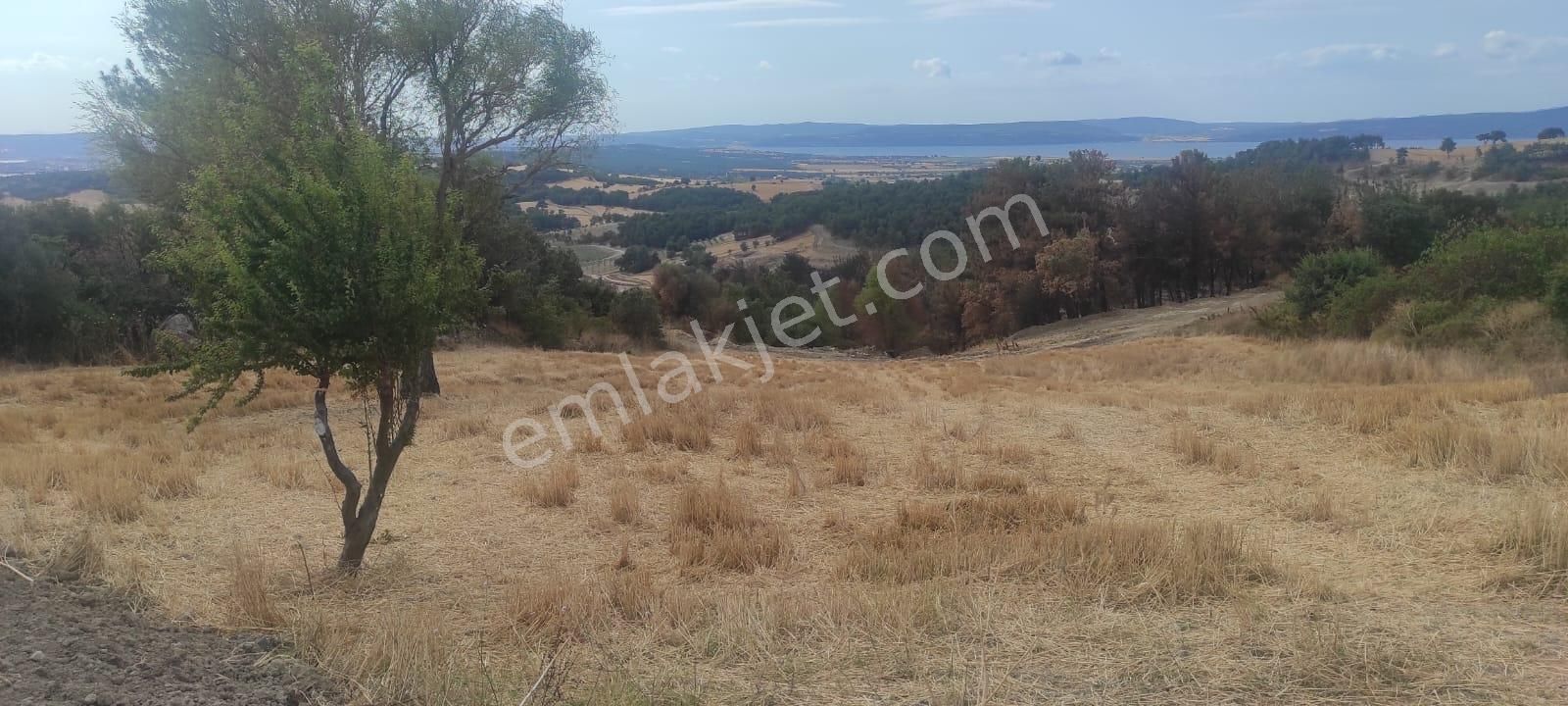 Çanakkale Merkez Kemel Köyü Satılık Tarla  ÇANAKKALE MERKEZ KEMEL’DE 2408 M2 BOĞAZ GÖREN İMARA YAKIN SATILIK TARLA