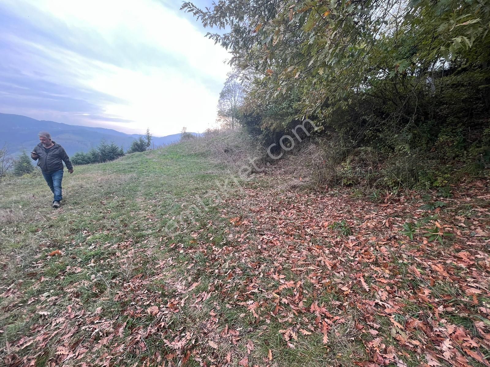 İlkadım Aşağıavdan Satılık Tarla  EKİPTEN İLKADIM AŞAĞI AVDANDA 1655M2 TARLA YOL MEVCUT