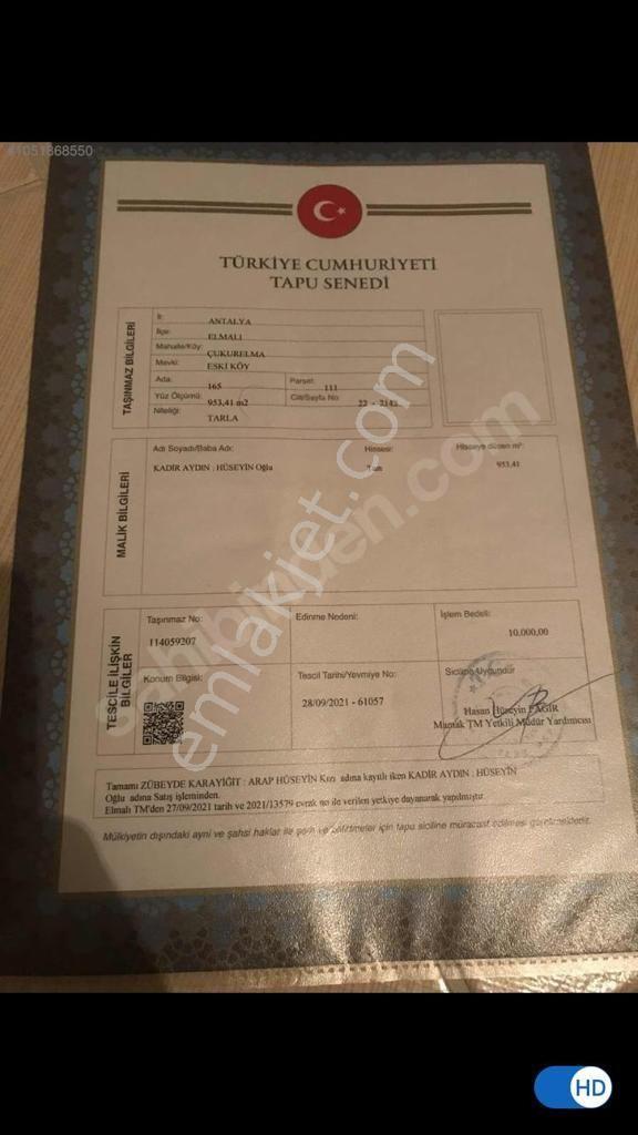 Elmalıda 953 M2 Üzerinde Zeytin Ağaçlı Arsa - Görsel 3