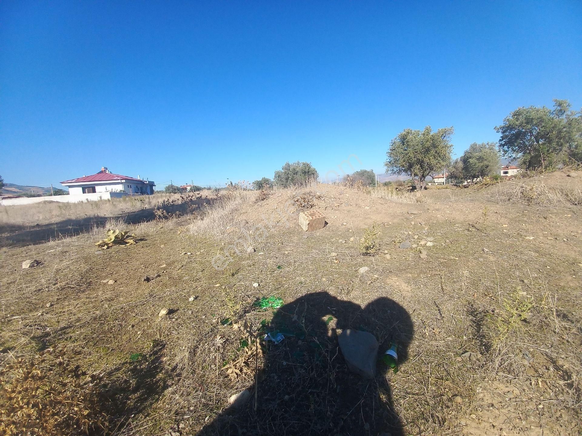 Alaşehir Hacıbey Satılık Tarla Alaşehirde Satılık Villa Arsası Tuna Gayrimenkul'den