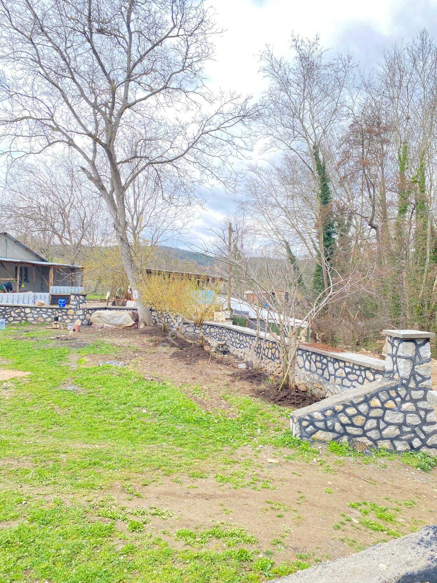 Dim Gayrimenkul Aksu Köyü Satılık Bahçe