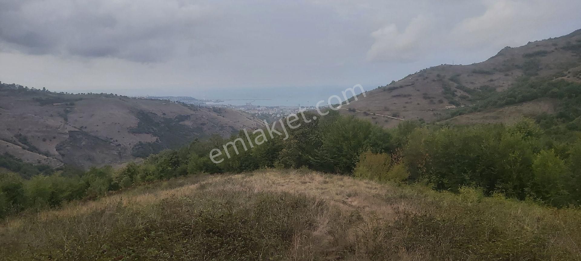 Samsun Canik Gürgenyatak Orman İçinde Manzaralı Satılık Tarla - Görsel 9