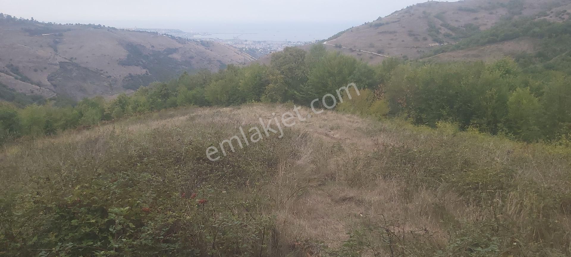 Samsun Canik Gürgenyatak Orman İçinde Manzaralı Satılık Tarla - Görsel 8