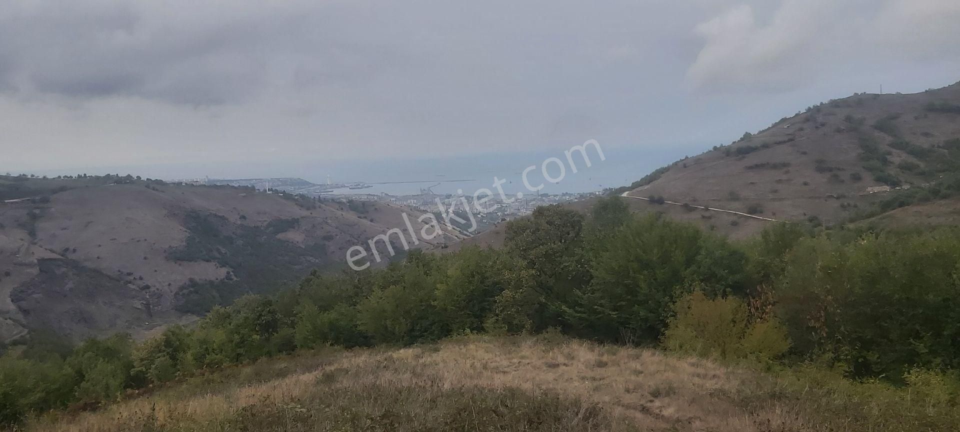 Samsun Canik Gürgenyatak Orman İçinde Manzaralı Satılık Tarla - Görsel 10