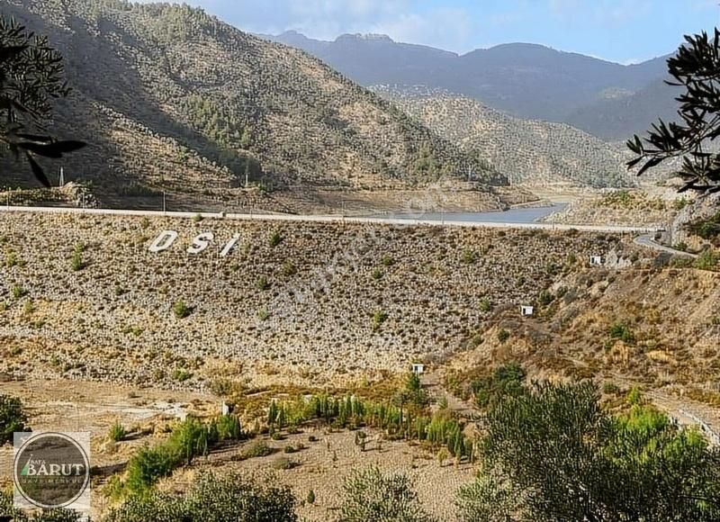 Milas Derince Satılık Zeytinlik MİLAS DERİNCE KÖYÜNDE 1 DÖNÜM BARAJ MANZARALI KAÇMAZ FIRSAT