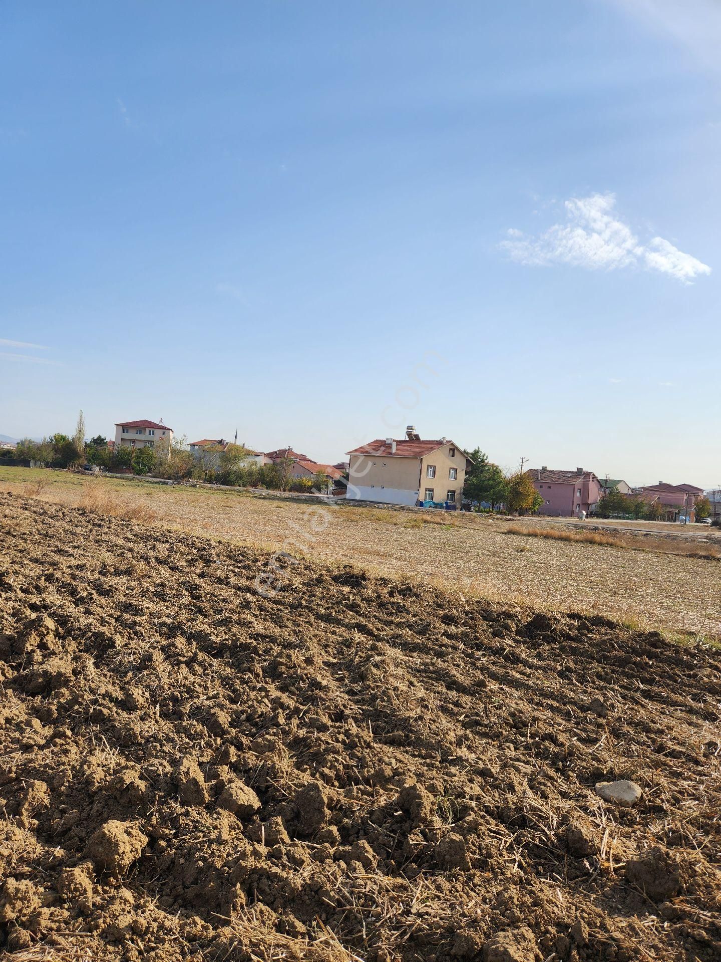 Suluova Yeni Satılık Konut İmarlı Suluova Yeni mahalle de Satılık arsa