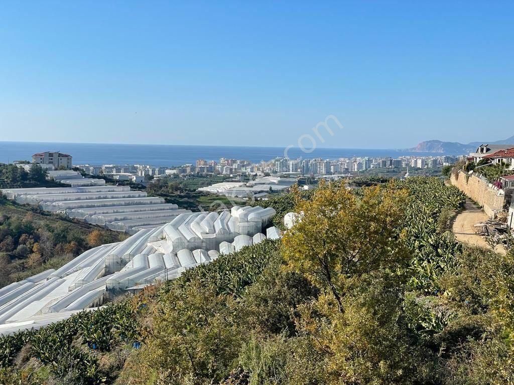 Alanya Kargıcak Satılık Konut İmarlı Vatandaşlığa Uygun Satılık İmarlı Villa Arsası