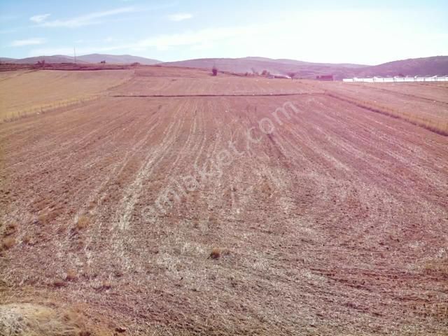 Antalya Elmalı Kocapınar Mah'de Yerleşim Alanına Yakın Mesafede 17.280m2 Satılık Tarla - Görsel 8