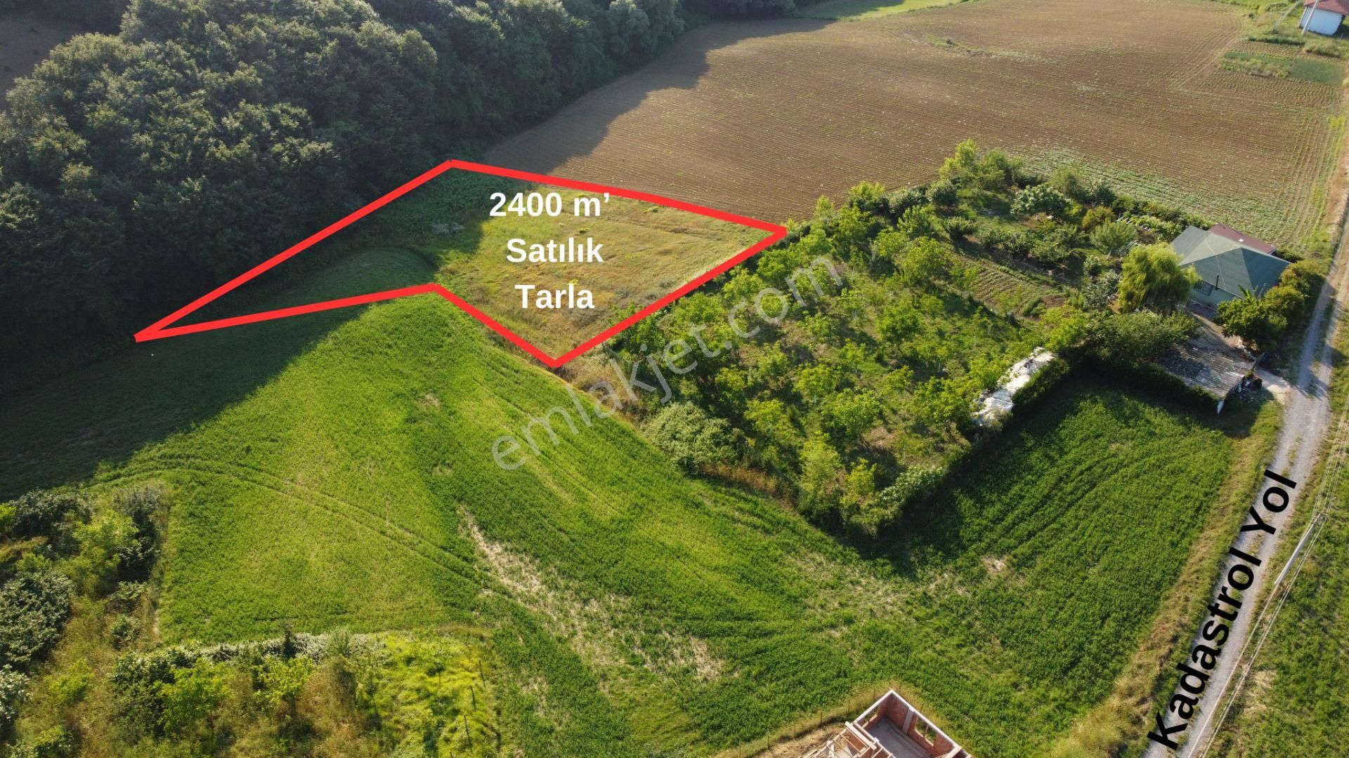 Kaynarca Akbaşlı Satılık Tarla Sakarya-kaynarca-eğrioğlu'nda 2400 M2 Tarla