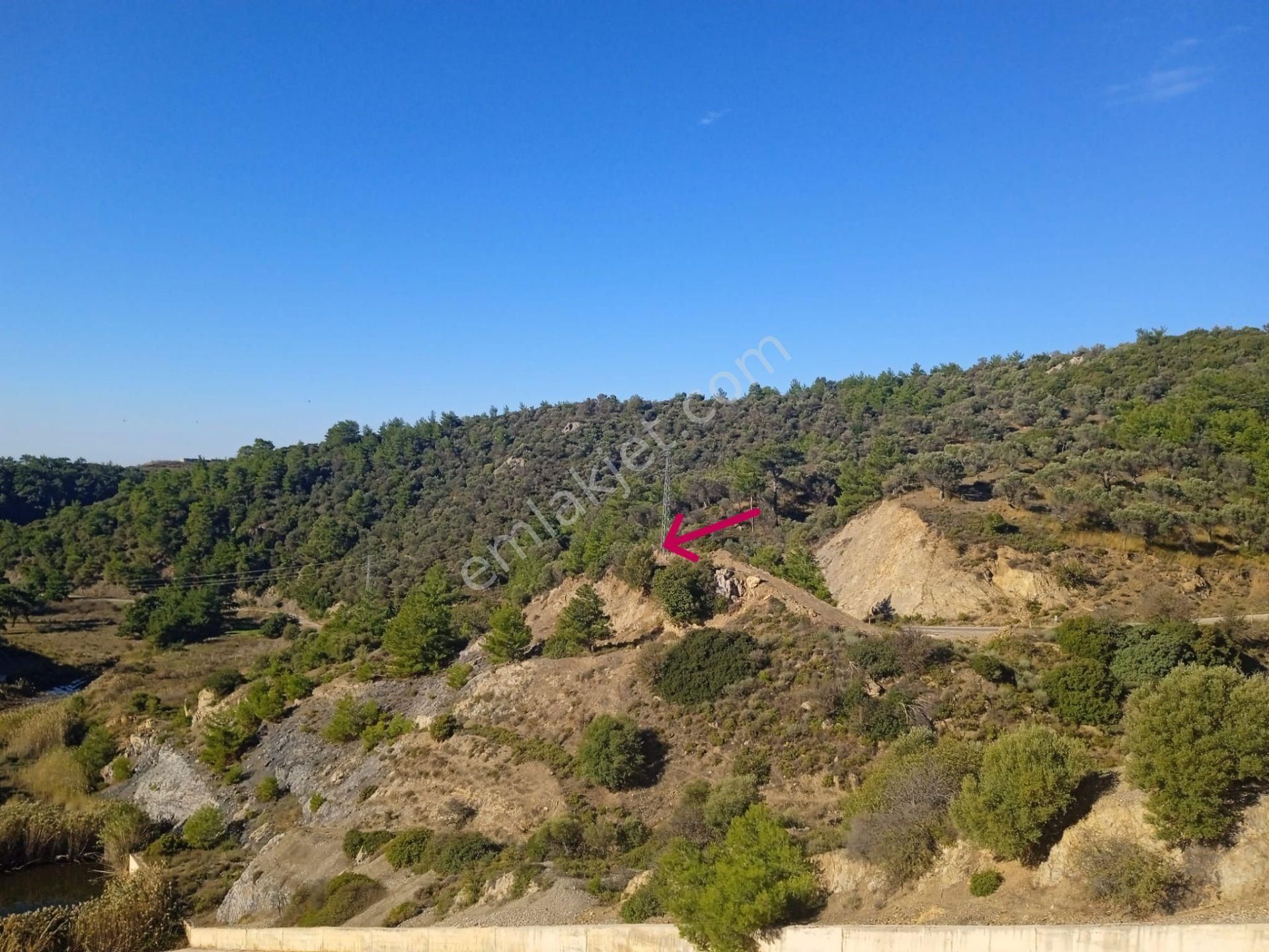 Seferihisar Turabiye Satılık Arazi İzmir Seferihisar Turabiye Mahallesi Doğa Manzaralı Arazi