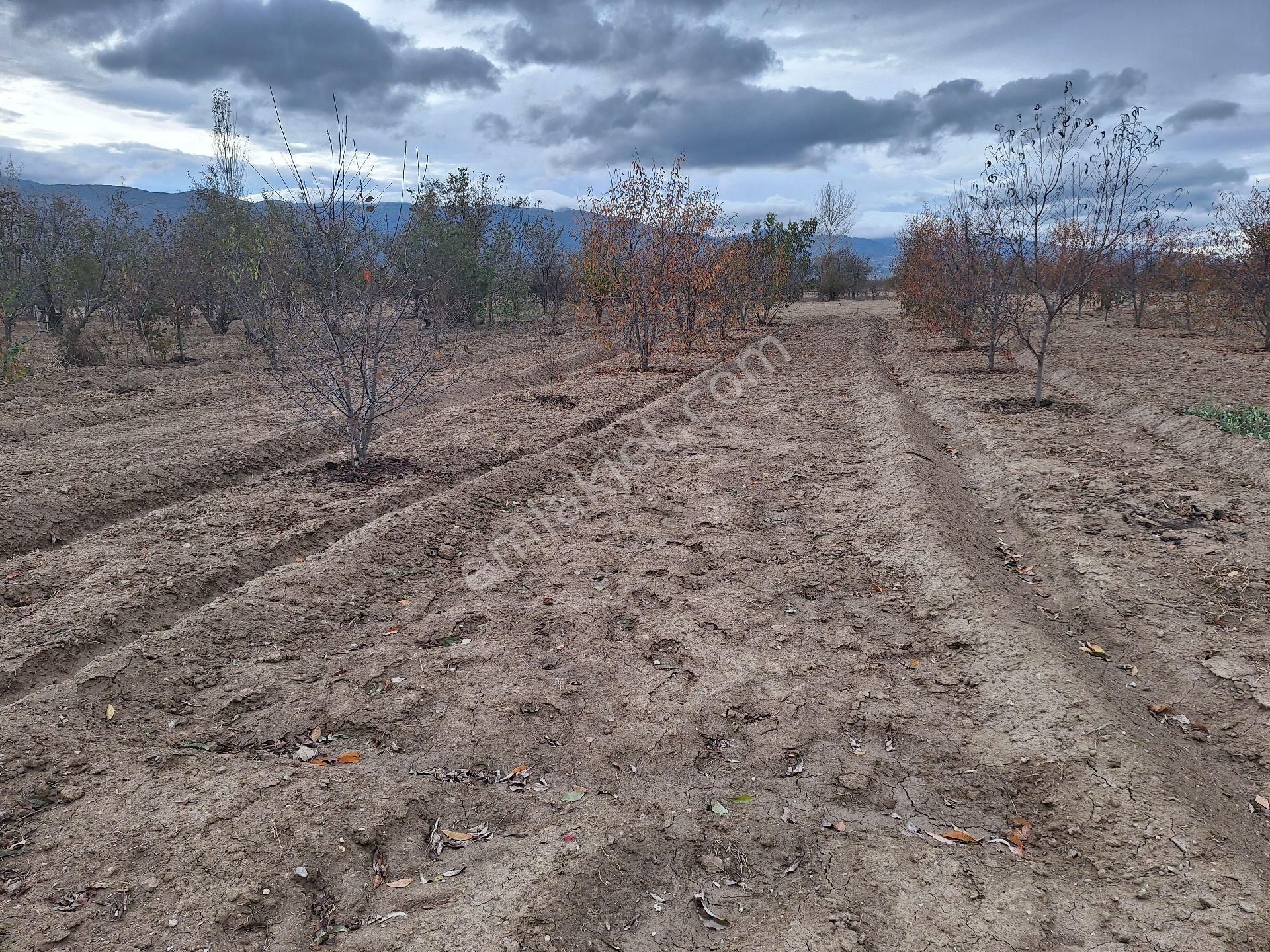 Daglı Emlaktan Dogrugöz Mahallesinde - Görsel 12