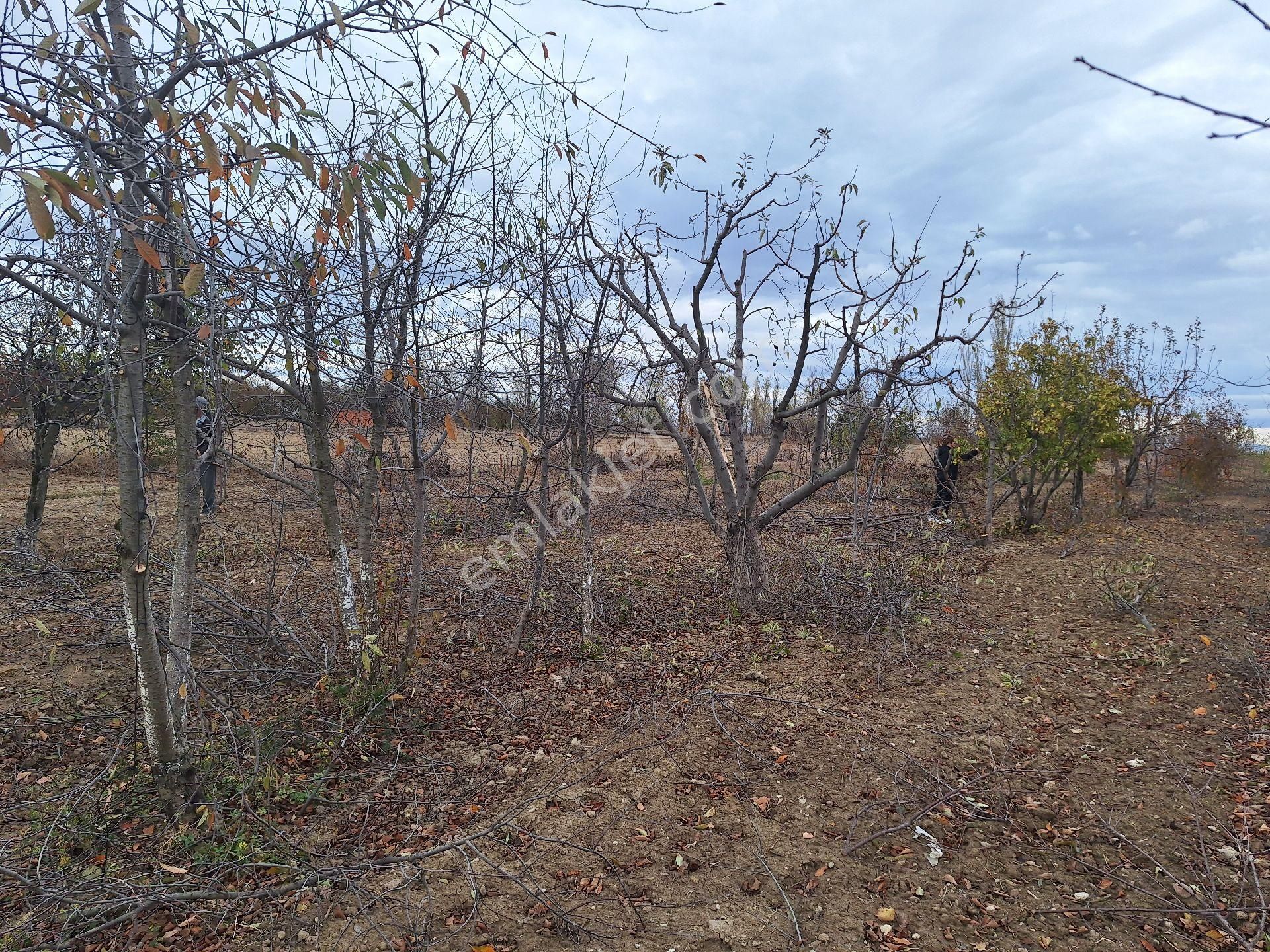 Daglı Emlaktan Dogrugöz Mahallesinde - Görsel 5