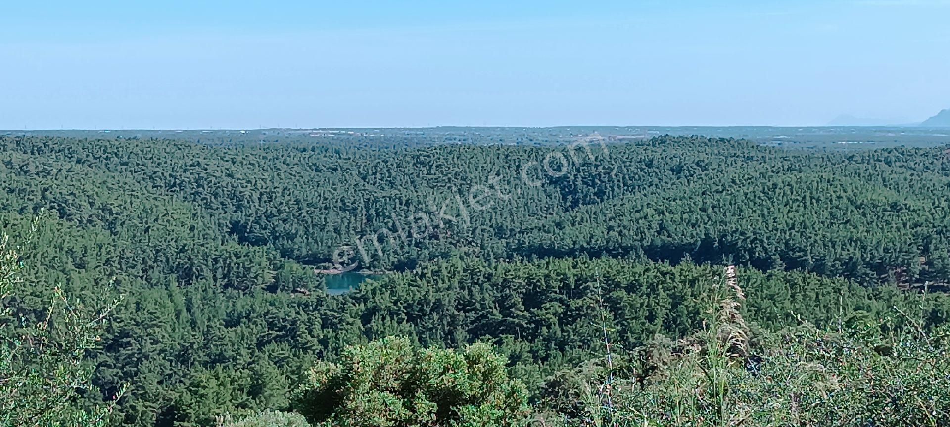 Döşemealtı Ekşili Satılık Konut İmarlı ***döşemealtı Ekşili Göl Manzaralı 500m2 İmarlı Satılık Arsa***polat Emlak