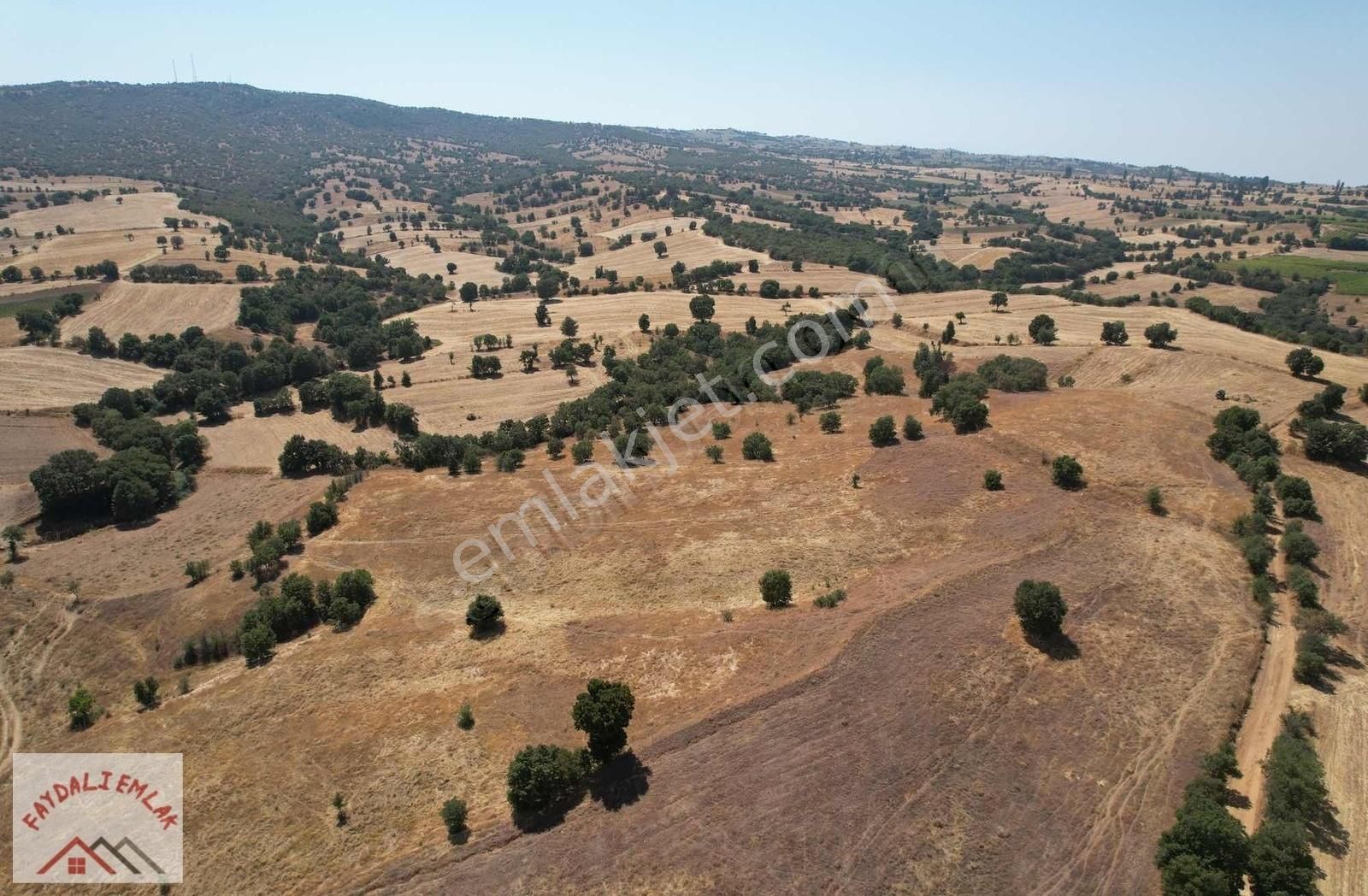 Eşme Yeleğen Bld. (Hürriyet) Satılık Tarla UŞAK EŞME YELEĞENDE 1.000.000 M2 BLOK TARLA