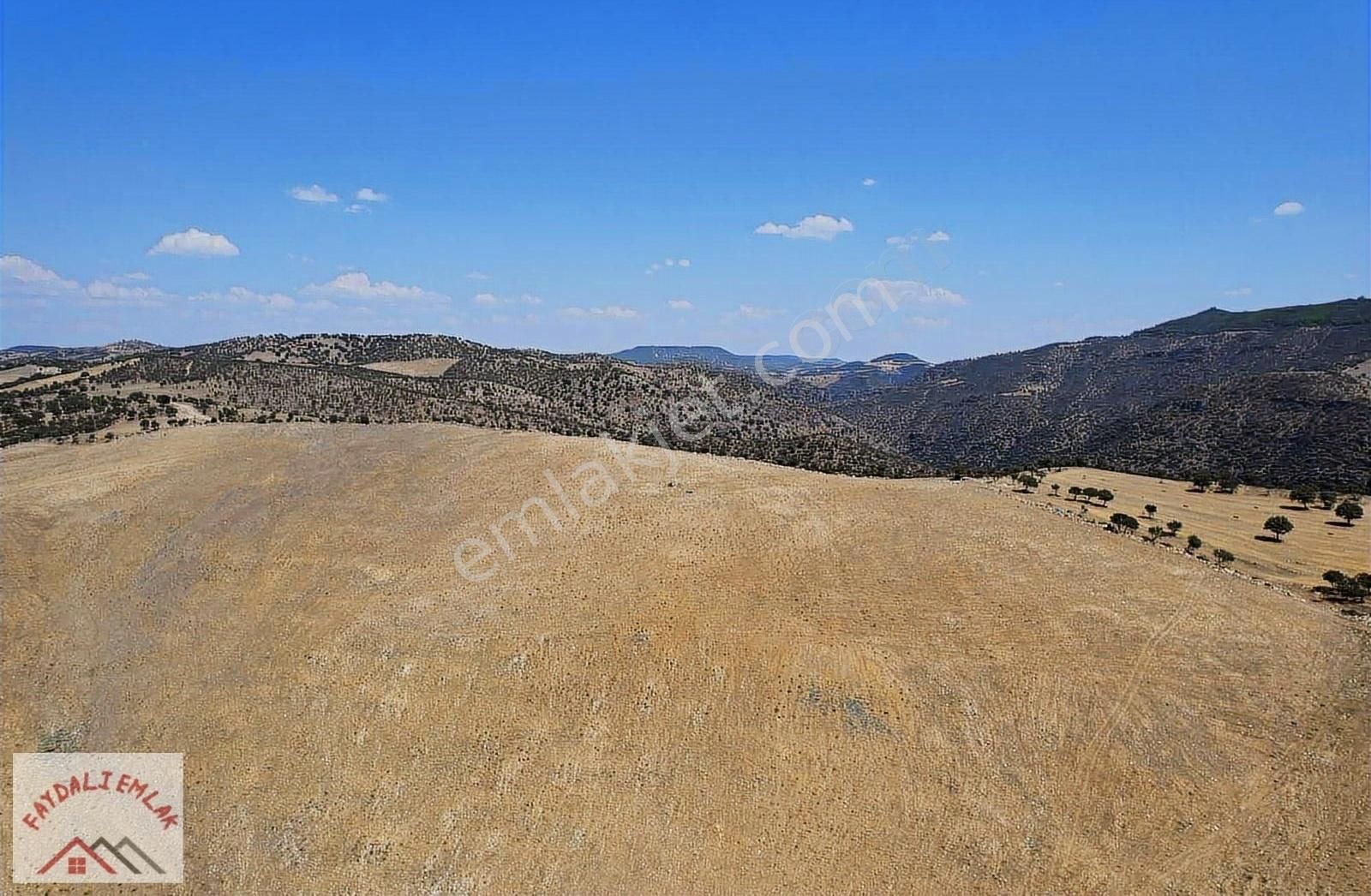 Köprübaşı Karyağdı Satılık Tarla MANİSA KÖPRÜBAŞI YABACI 400.000 m2 BLOK ARAZİ ANINDA TAPU