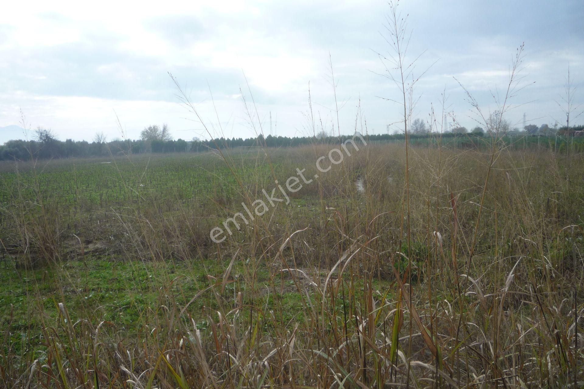 İzmir Torbalı Gold Emlaktan Satılık Tarla - Görsel 12