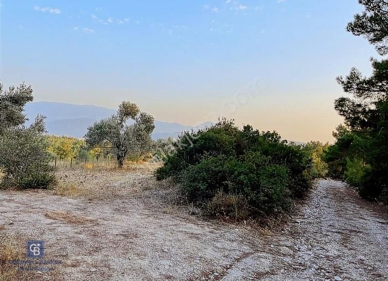 Bornova Yakaköy Satılık Tarla Bornova yaka Mahallesinde Yerleşim Yeri Yakını Satılık Tarla