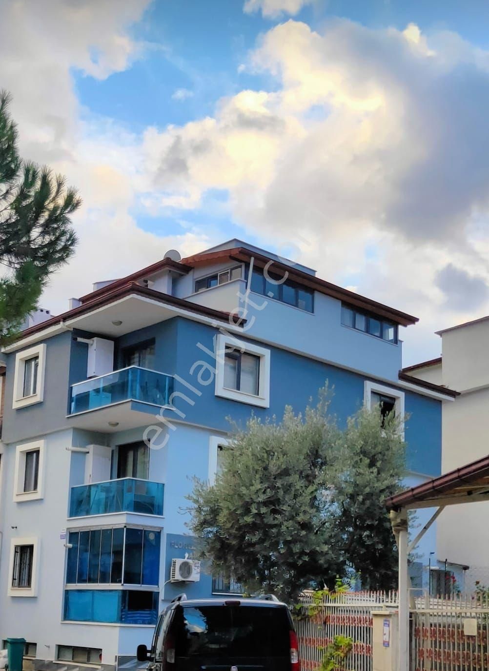 Pamukkale İncilipınar Kiralık Daire Sahibinden Ayrı Mutfak 1+0 Geniş Komisyon Yok Forum, Aile, Çalış Sos. H.md. İncilipınar Pazaryeri