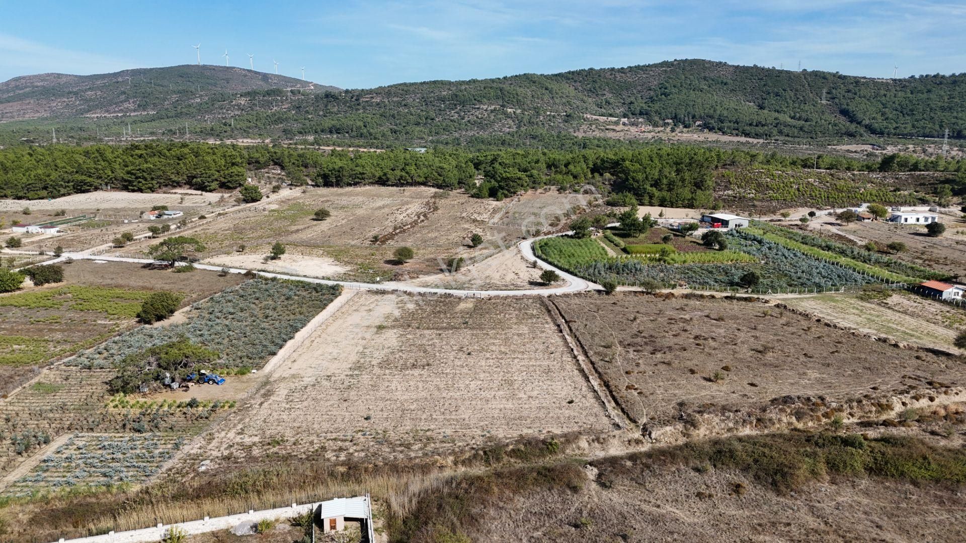 Urla Birgi Satılık Tarla Urla Birgi Köyünde Kafes Tel Çevrili Arazi