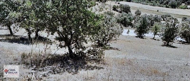 Demirci Güveli Satılık Konut İmarlı MANİSA DEMİRCİ BÖLGESİNDE İMARLI UYGUN ARSA