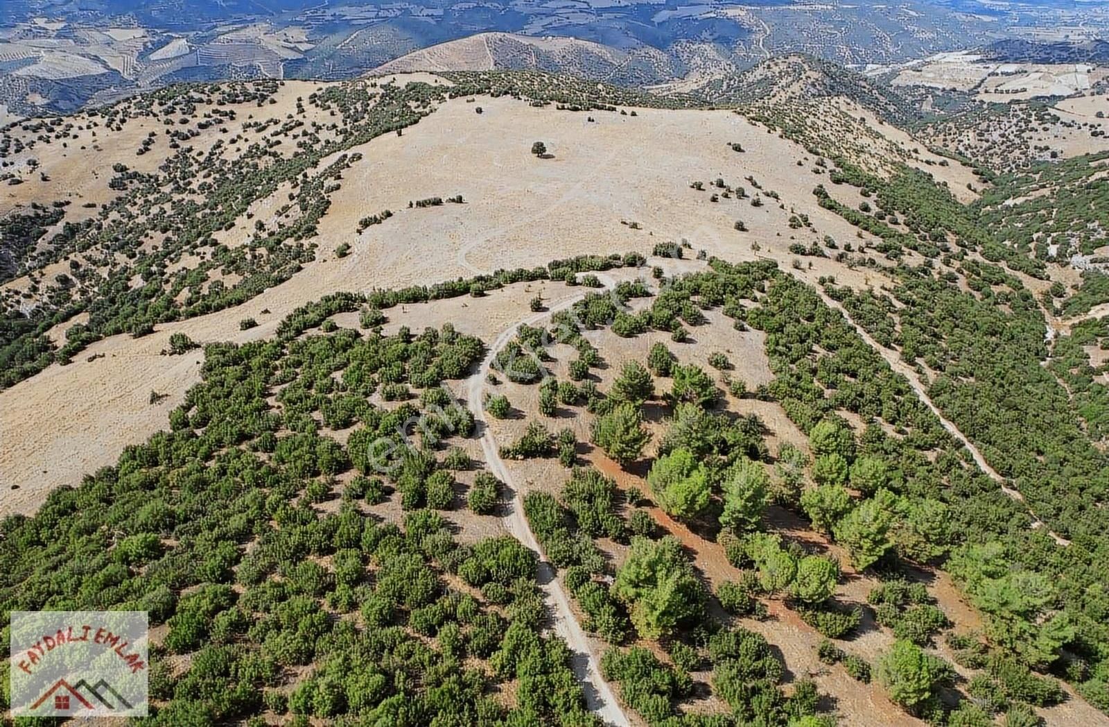 Köprübaşı İkizkuyu Satılık Tarla MANİSA KÖPRÜBAŞI İKIZKUYUDA 2.000.000M2 BLOK ARAZİ