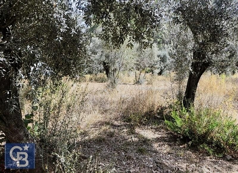 Ula Gökçe Satılık Tarla ULA GÖKÇEDE DOĞA İÇİNDE EMSALSİZ ARAZİ..