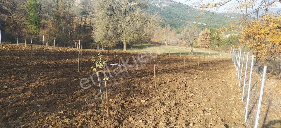 Geyve Demirler Satılık Tarla  GEYVE DEMİRLER MH.SİNDE 1.320 M2 HOBİ BAHÇESİ