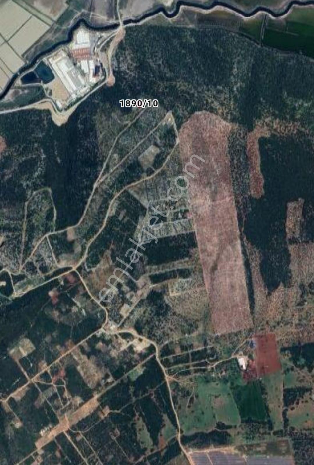 Aydın Didim İmarlı 346 M2 Bozseki Arsamız ( 1890 Ada 10 Parsel ) Arsamız Satılıktır - Görsel 12