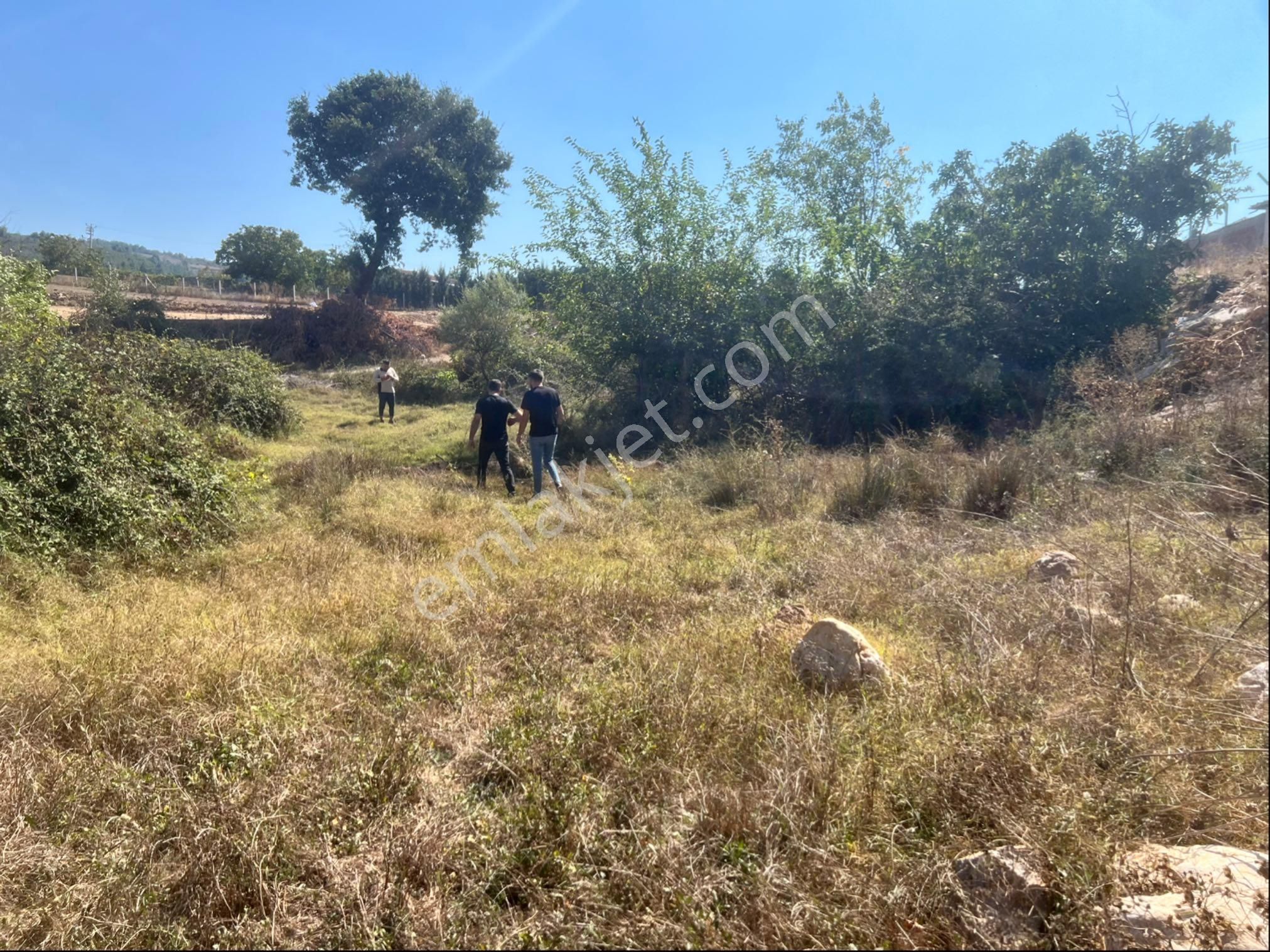 Bursa Yenişehir İmarlı Arsa - Görsel 17