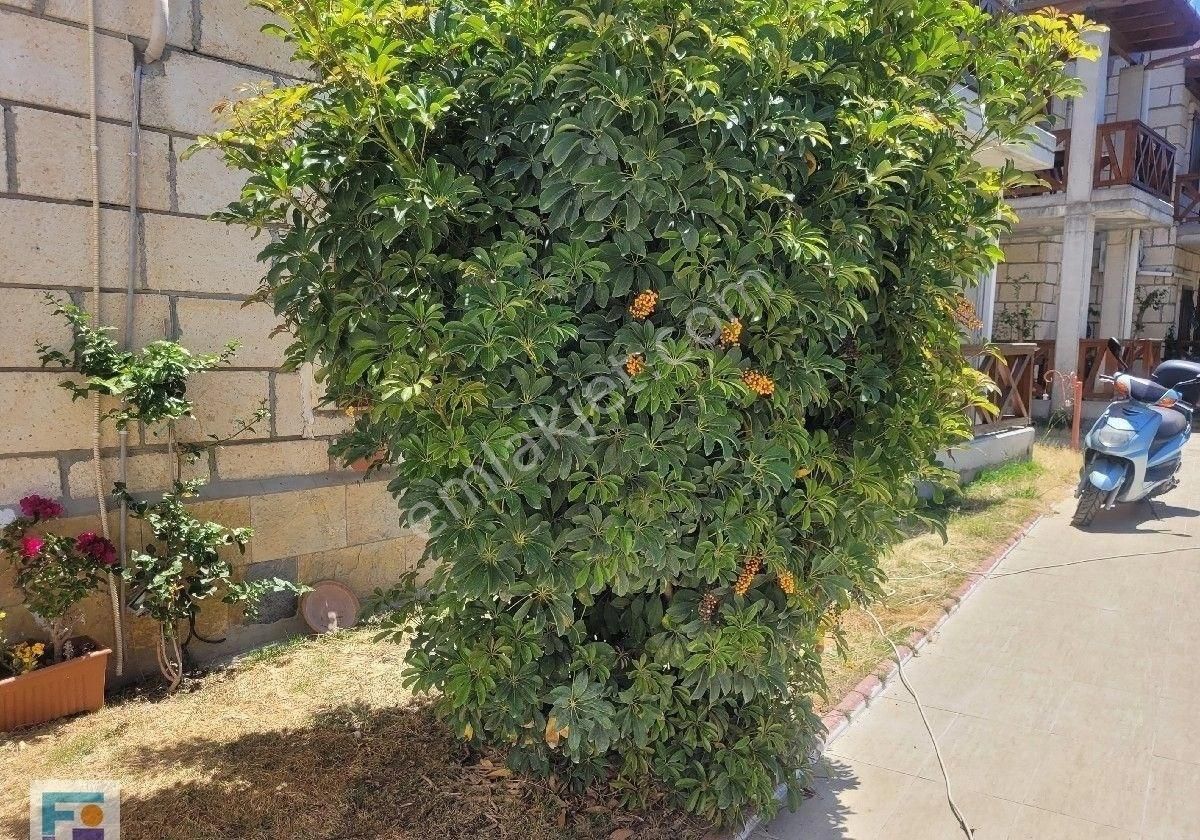 Bitez De Eşyalı Kiralık Stüdyo Bahçe Katı. - Görsel 5