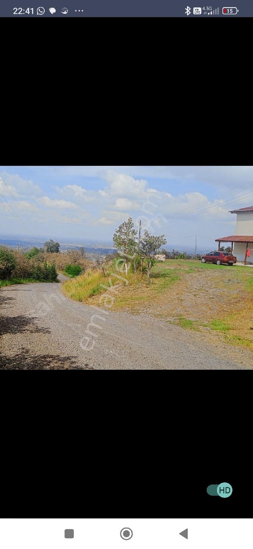 Samsun Terme Mihlipelitmahsinde Anayola Cephe Yarisi Fuz Yarisi Az Mehilli Satikik Fimdik Bahcesi - Görsel 11