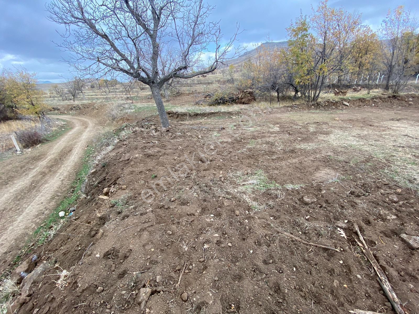 Öz Gaye Emlaktan Develi Zile Köyönü Mevkiinde 519 M2 Satılık Hobi Bahçesi - Görsel 5