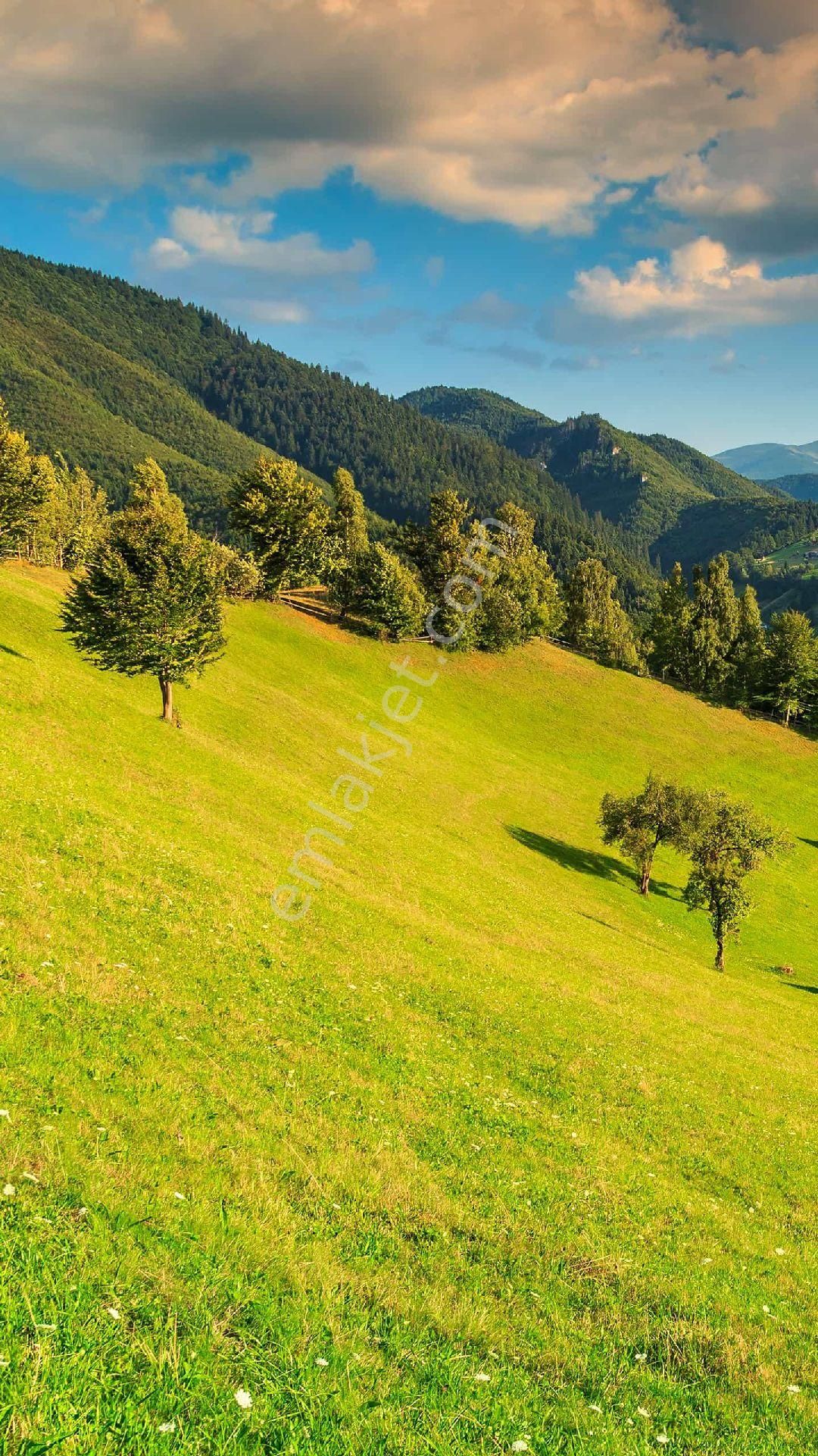 Korkuteli Yeşilyayla Satılık Tarla ANTALYA KORKUTELİ İLÇESİNDE YEŞİLYAYLA DA 406 METRE KARE SATILIK ARSA 