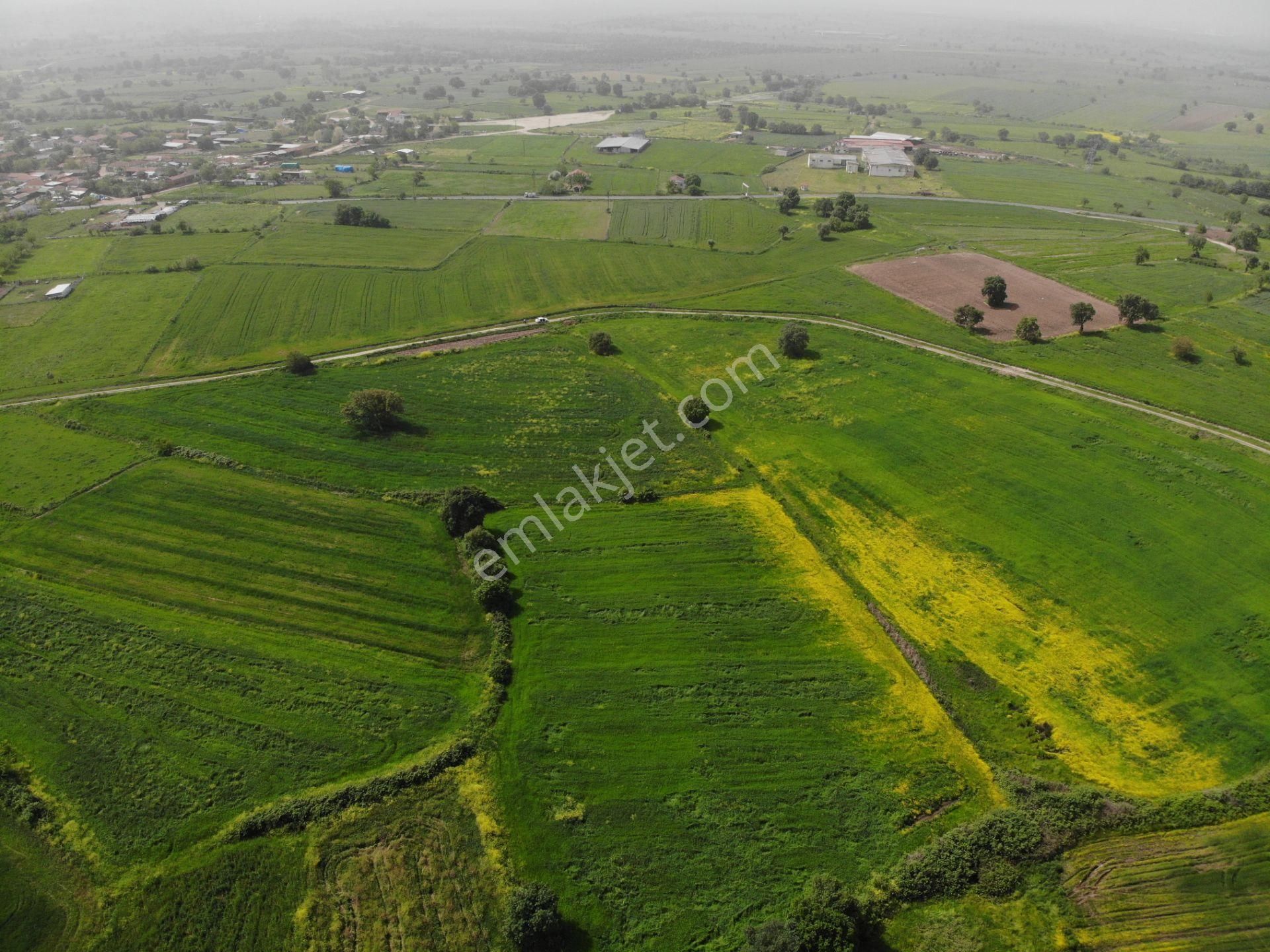 Çanakkale Biga Pekmezli Köyü 8712 M2 Yatırıma Uygun Satılık Arsa - Görsel 3