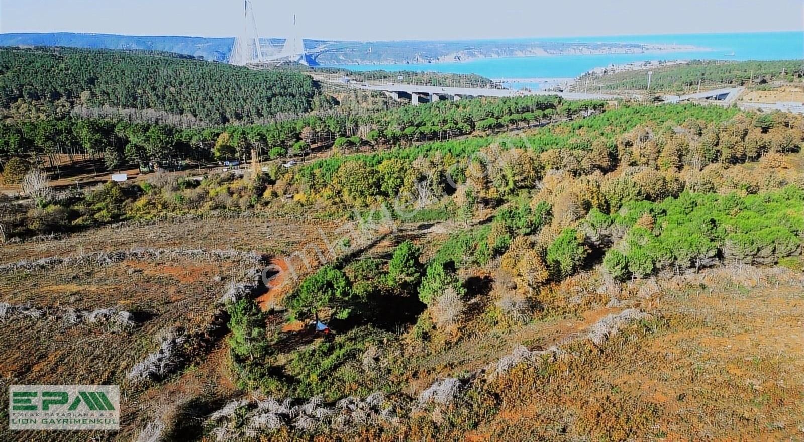 Beykoz Poyrazköy Satılık Tarla BEYKOZ POYRAZKÖY' de KADASTRO YOLU OLAN SU KUYUSU MEVCUT TARLA