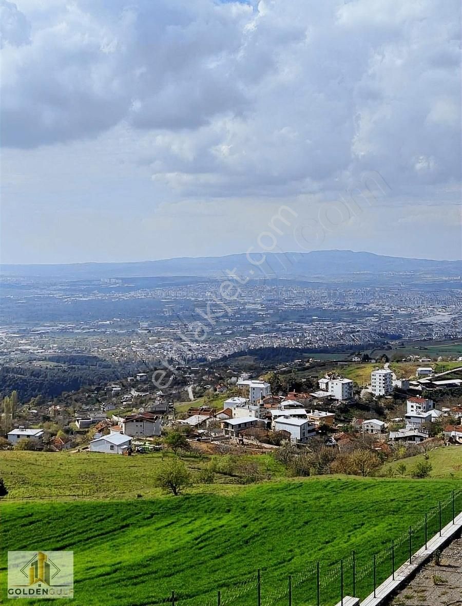 Golden Gulf Emlak - Görsel 16