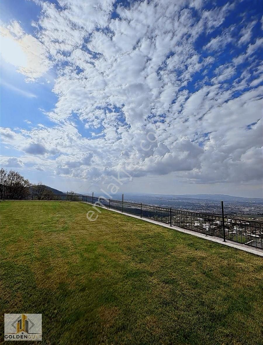 Golden Gulf Emlak - Görsel 15