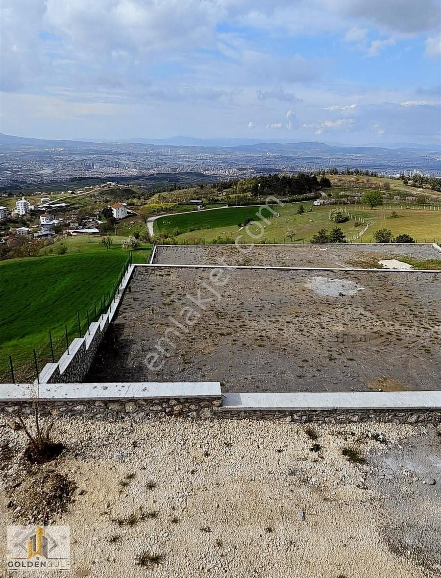 Golden Gulf Emlak - Görsel 2