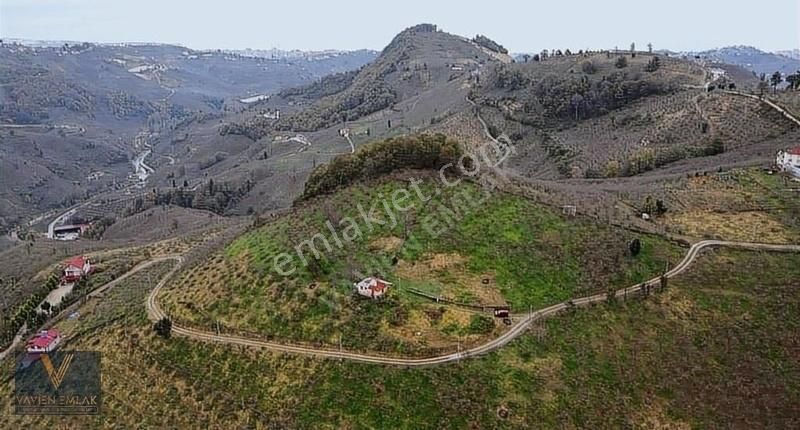 Bulancak Acısu Satılık Bağ & Bahçe Vavien Emlak'tan Satılık Arsa (3 Parsel Ayrı Fiyat Açıklamada)