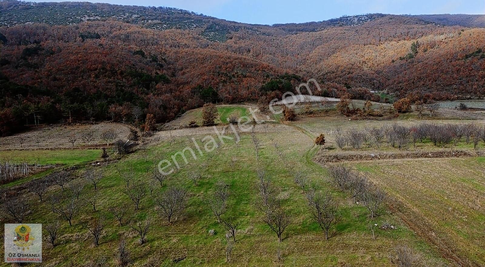 Osmaneli Oğulpaşa Köyü (Merkez) Satılık Tarla 7,245 M2 OĞULPAŞA OVASINDA SATILIK ARAZİ-OSMANLI GAYRİMENKUL'DEN