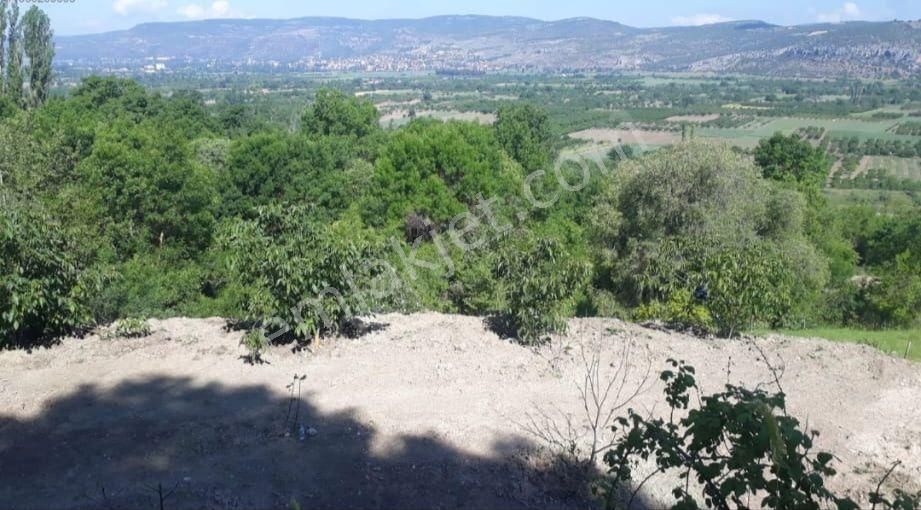 Gölpazarı Çımışkı Köyü Satılık Tarla Köy İçinde Villa Yapınıma Uygun Tarla