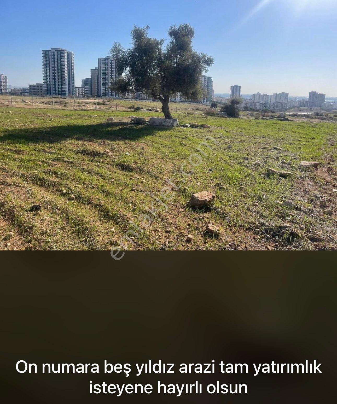 Tek Tapu İmarın Dibi Fırsat Arsa - Görsel 16