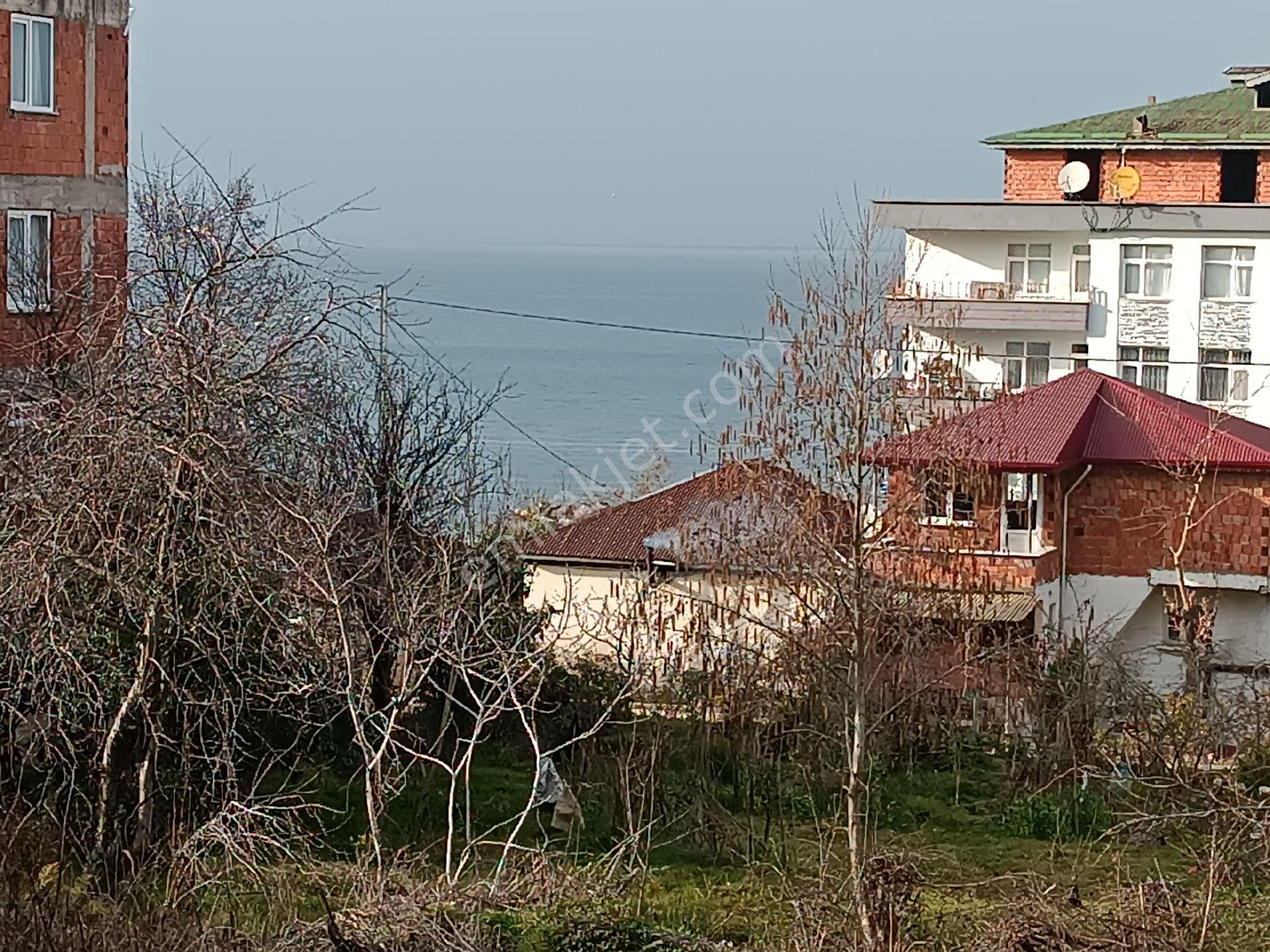 Piraziz Yeni Satılık Konut İmarlı Işık Gayrimenkulden Piraziz Sahilde Satılık Yatırımlık Arsa