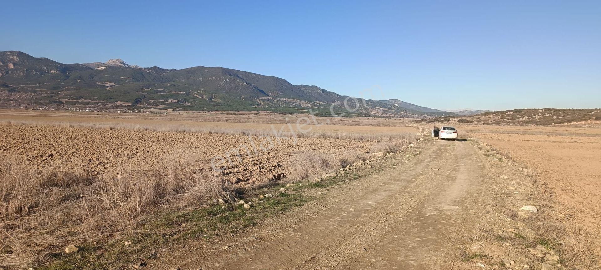 Bucak Yüreğil Köyü Satılık Tarla  BURDUR BUCAK YÜREĞİLDE KADASTROL YOLLU FIRSAT YATIRIMLIK SATILIK TARLA